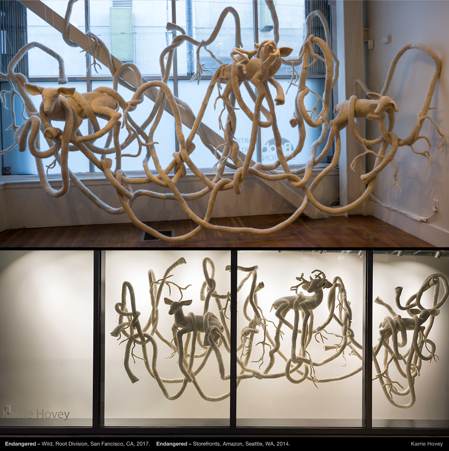 Work by Karrie Hovey